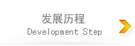 發展歷程